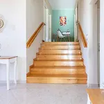 Maslina Villa Vrsi